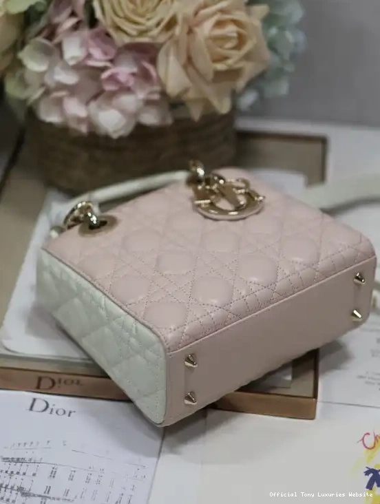 Tony Luxuries LADY DI0R-20CM 0419